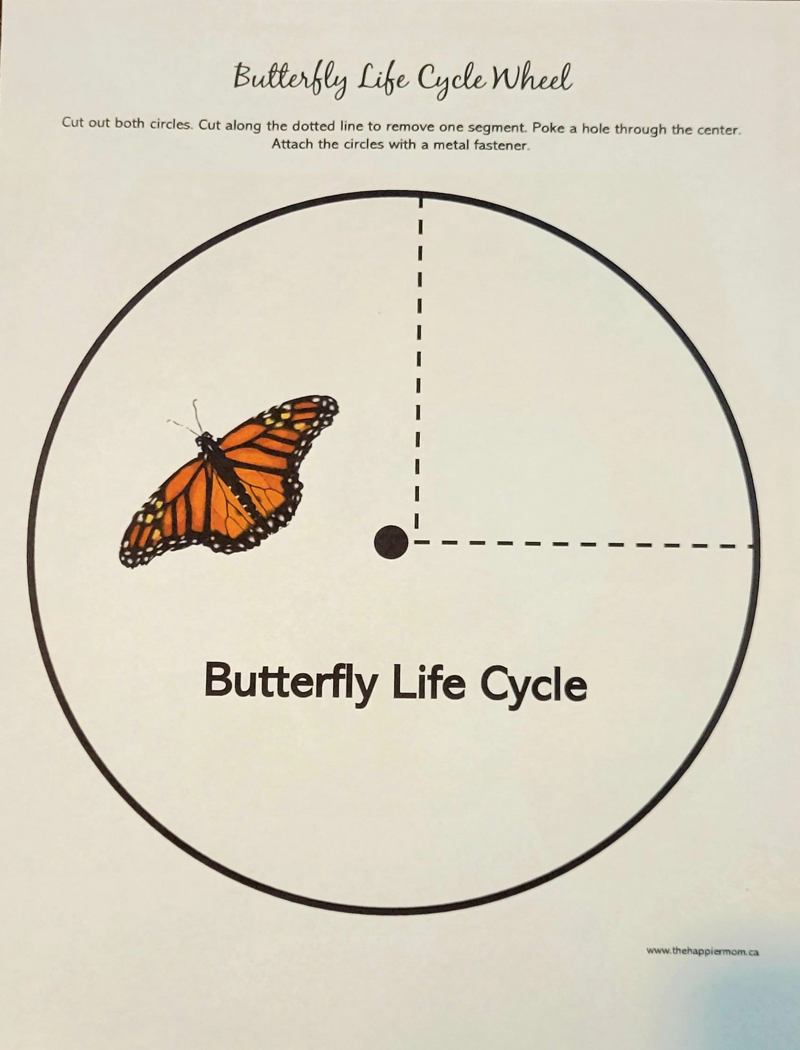 Butterfly Life Cycle Activities For Kids
