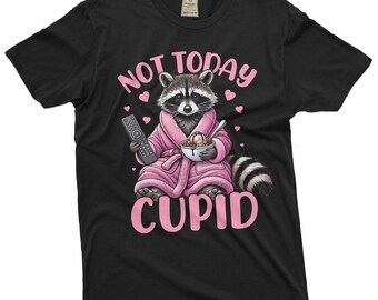 not today cupid valentine's day T-shirt single person man woman funny valentine's day sister gift shirt
