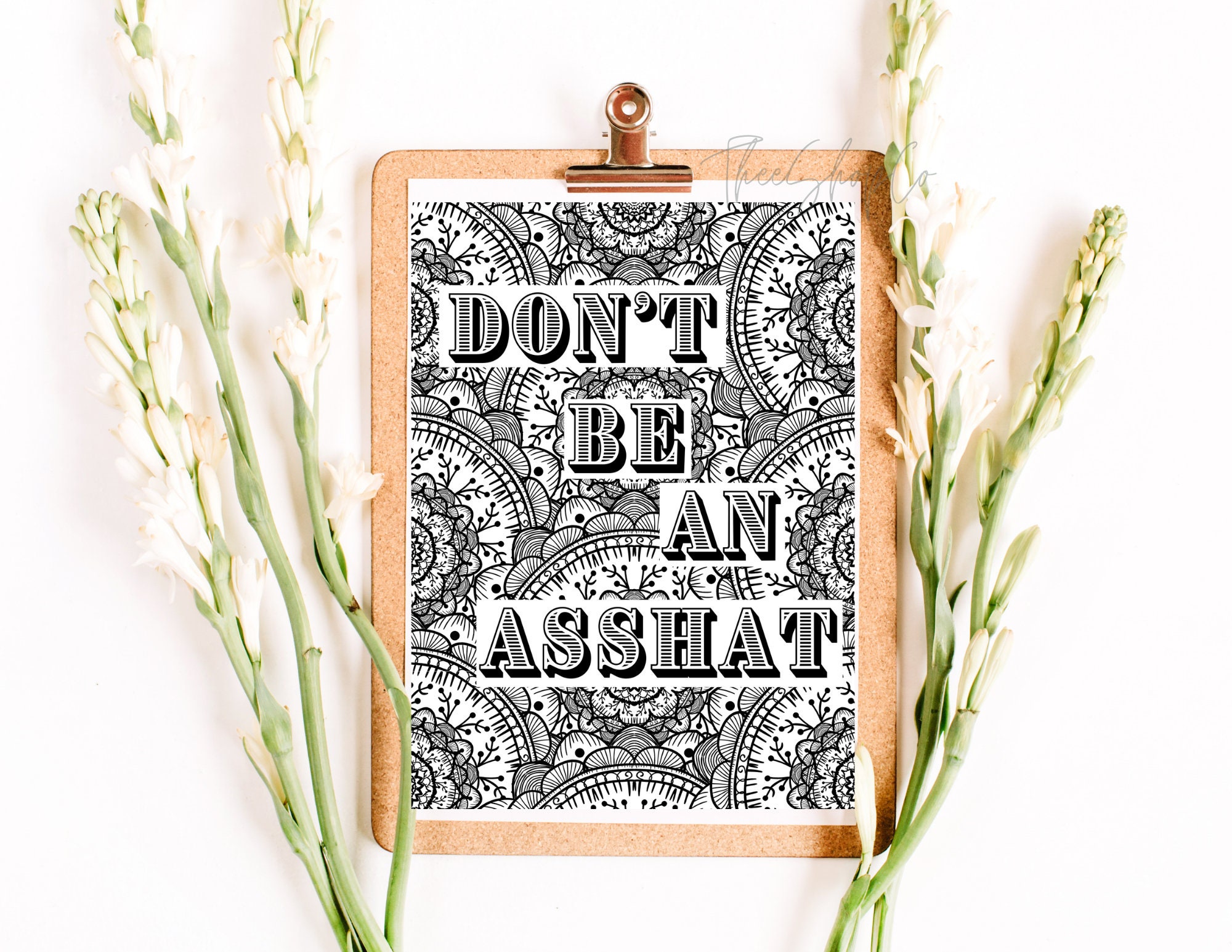 Asshat Coloring Pages/digital Download/ Adulting Coloring/pdf Download ...