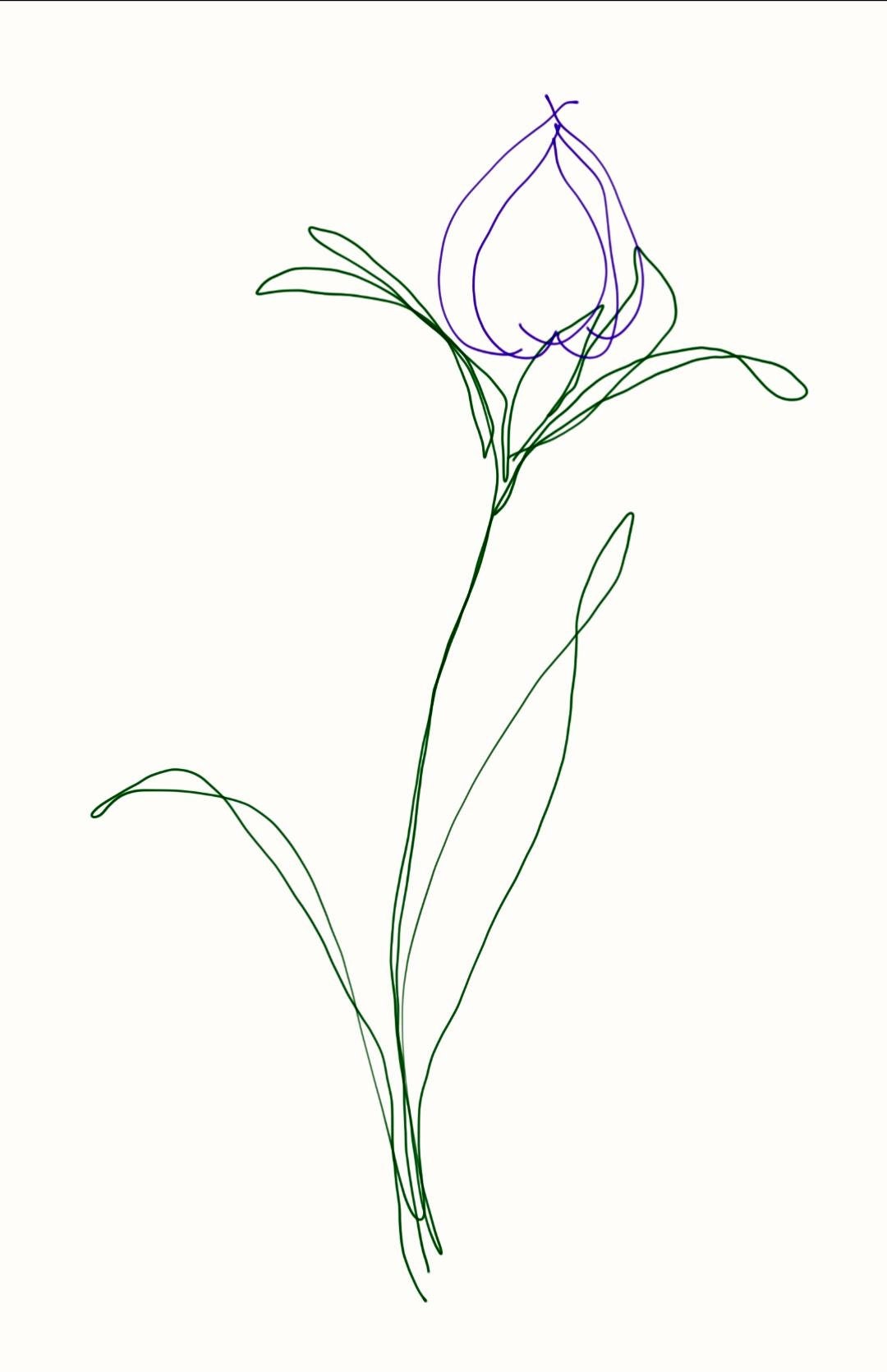 Purple flower sketch | Etsy