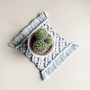 Peut inclure: Un petit cactus vert dans un pot blanc pos&eacute; sur un dessous de plat en macram&eacute; gris avec des franges.