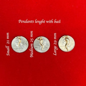 May include: Three gold-coloured pendants in the shape of a chilli pepper, each with a different size. The pendants are displayed on top of US quarter coins, with the text "Small 21 mm", "Medium 25 mm", and "Large 29 mm" written next to each pendant.