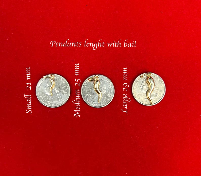 May include: Three gold-coloured pendants in the shape of a chilli pepper, each with a different size. The pendants are displayed on top of US quarter coins, with the text "Small 21 mm", "Medium 25 mm", and "Large 29 mm" written next to each pendant.