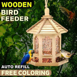 Kids Arts and Crafts Bird Feeders for Outside, 2-pack DIY Wooden Paint Kits  Outdoor Toys for Boys Girls Age 3-5 4-8 8-12 