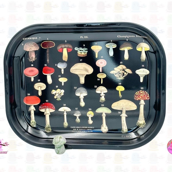 Vintage Mushroom Varieties Fungi Species Chart Nature Forage- 14x18cm Metal Tobacco Rolling Tray Surface Jewellery Crystals Cute Gift Idea