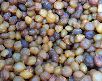 Akpi Seed aka Djansang/ Njangsa