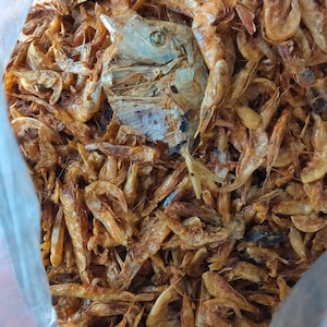 May include: A plastic bag filled with dried shrimp and a single dried fish. The shrimp are a light brown color and the fish is a light gray color.