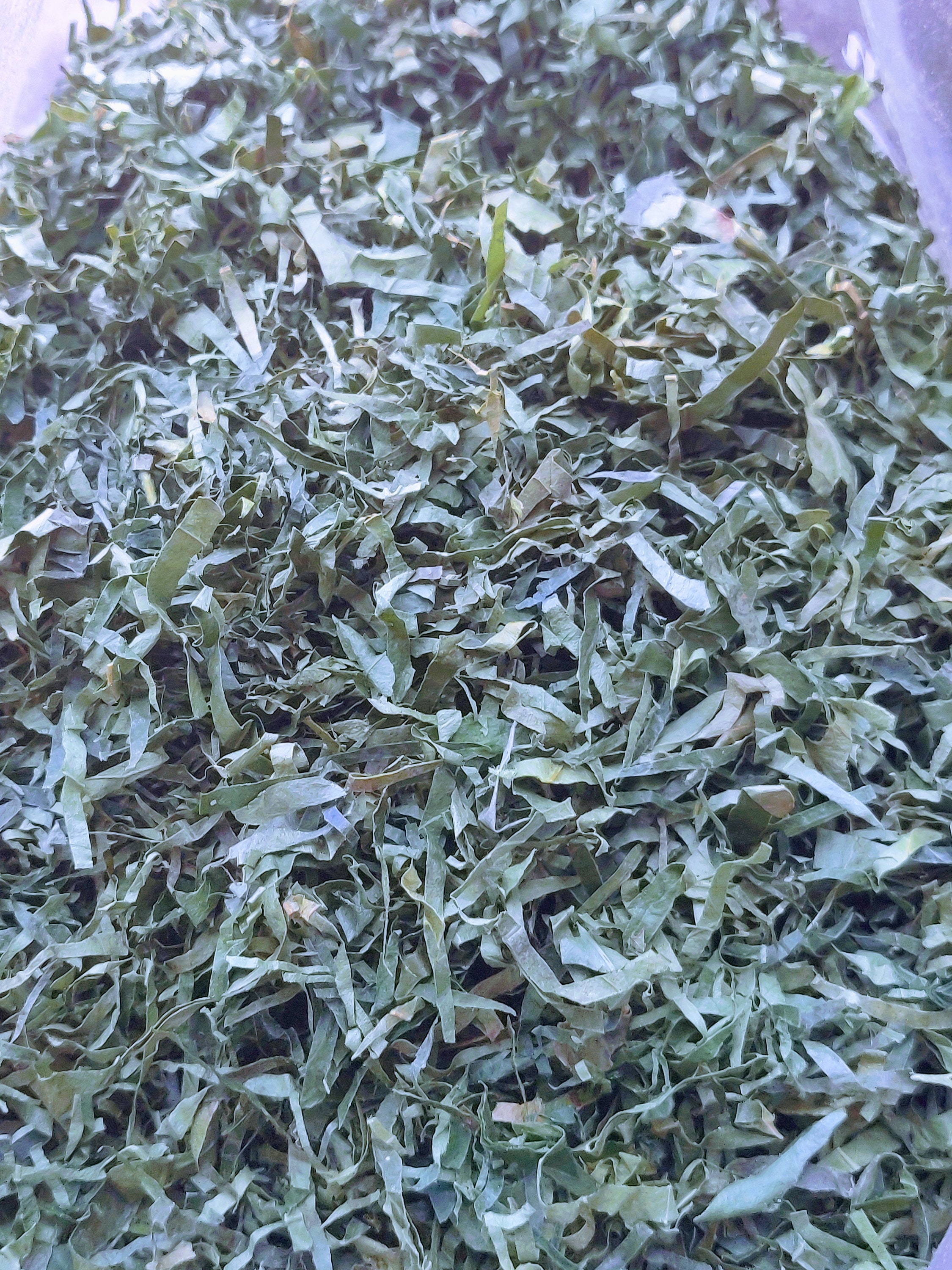 Dehydrated Okazi/ Eru/ Afang Leaves