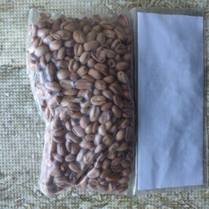 May include: A clear plastic bag filled with light brown coffee beans. The bag is next to a white paper envelope.