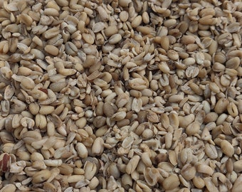 Dehydrated Ukwa (African Breadfruit) - 8 oz