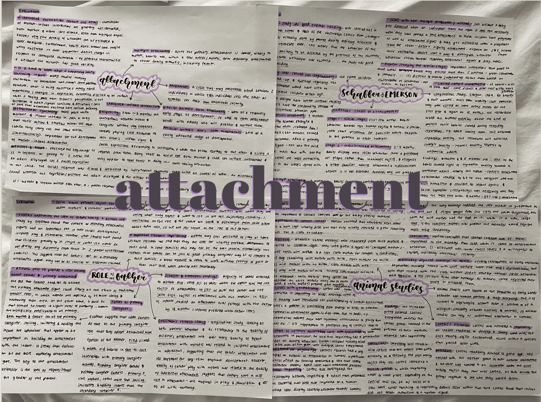 A Level Psychology Attachment Revision AQA Etsy