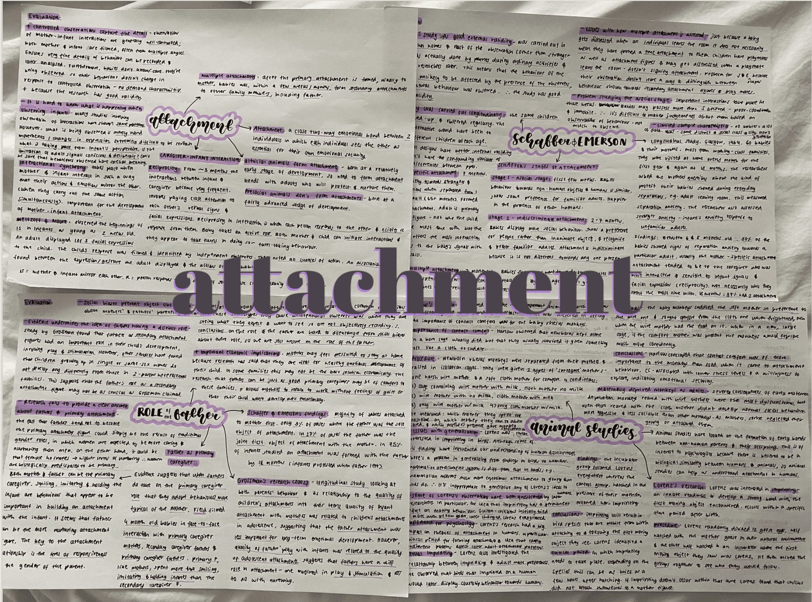 A Level Psychology Attachment Revision (AQA) - Etsy UK
