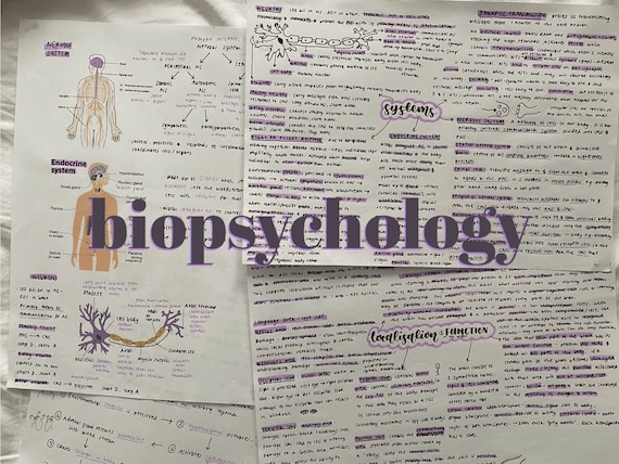 a level psychology biopsychology revision aqa etsy
