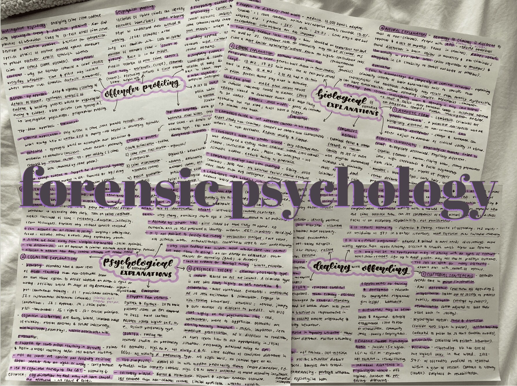 A Level Psychology Forensics Revision AQA - Etsy