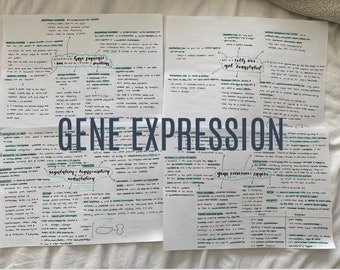 A Level Biology Biological Molecules Revision AQA - Etsy