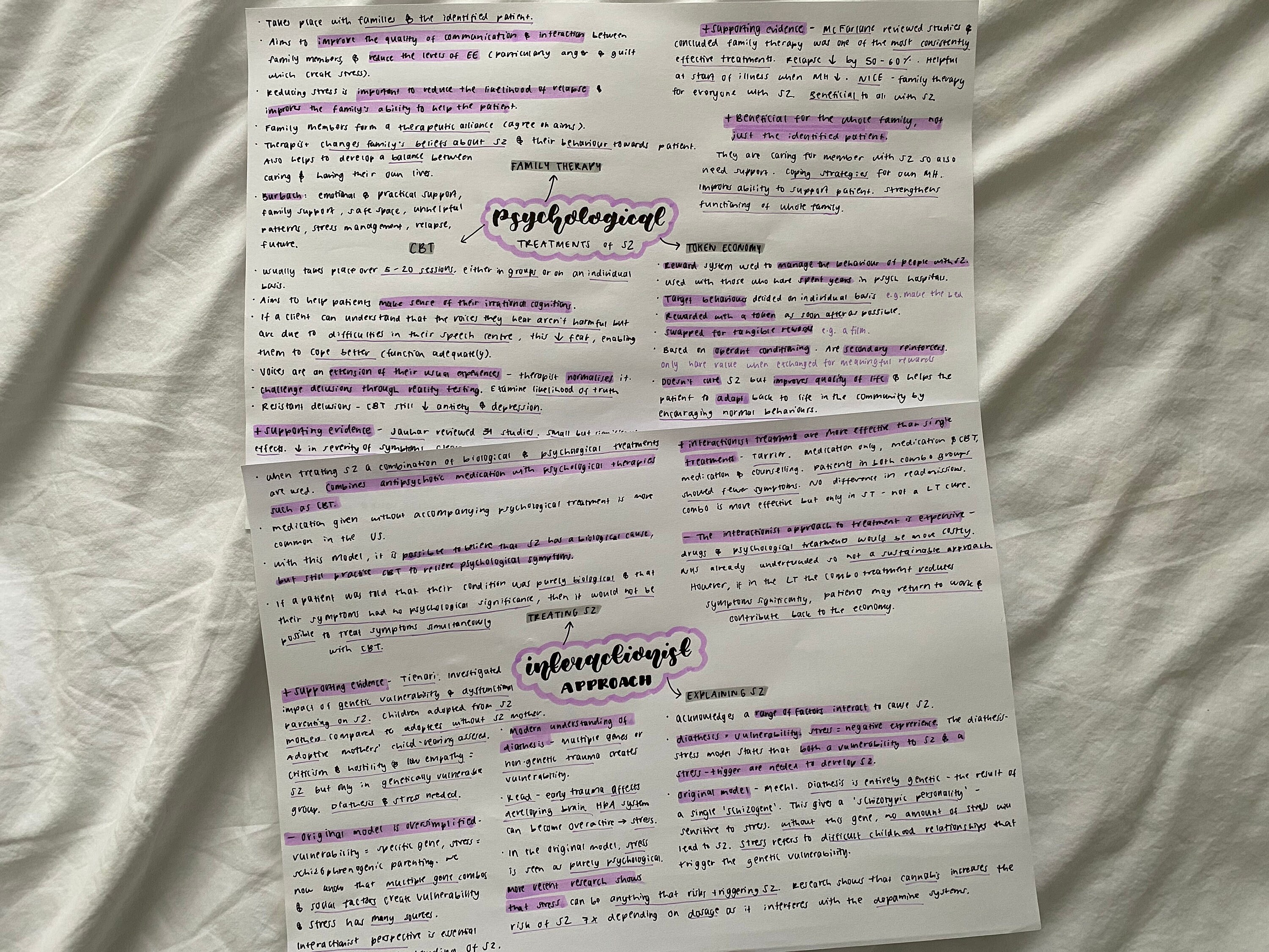 A Level Psychology Schizophrenia Revision (AQA) - Etsy