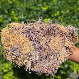Wildcrafted Raw Sea Moss (JAMAICA)