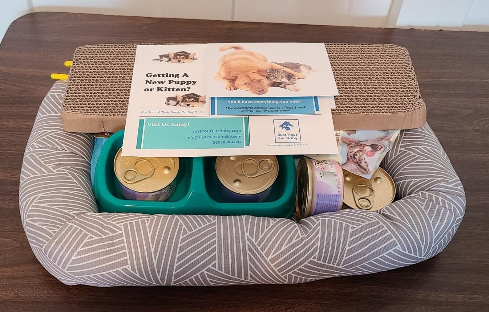 New Kitty Essential Items Starter Kit The Smitten Kitten Etsy