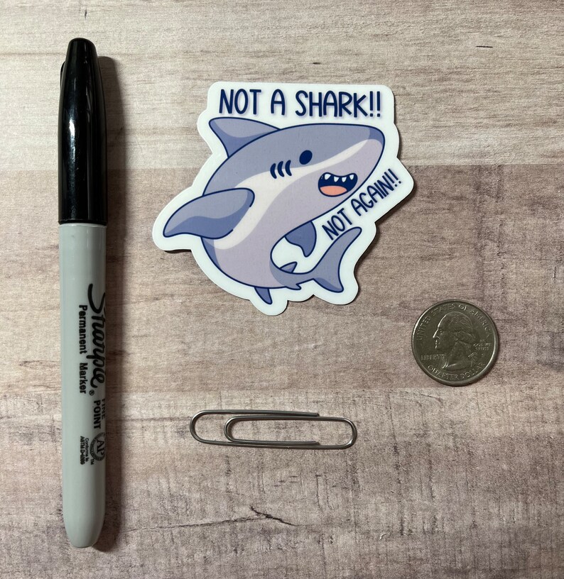 Not a Shark! Not Again! Vinyl Sticker | Funny Shark Image Decal ...