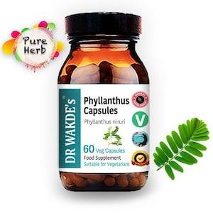 DR WAKDE&#39;S Phyllanthus Capsules (Bhumi-amla | Bhumyamalaki) | 60 Veg Caps | Ayurvedic Supplement | Vegan | 100% Herbal