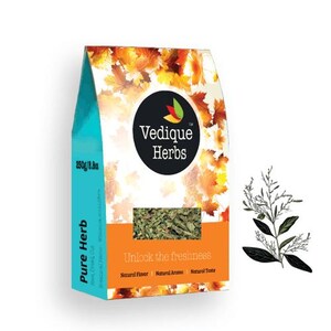 Kalmegh (Andrographis panniculata) - 250g (8.8oz) | Cru, Bruto, Seco | Corte em T | Classe Premium