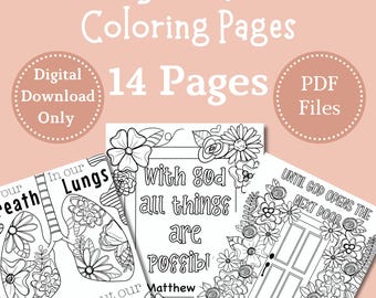 Pacchetto di pagine da colorare bibliche / Libro da colorare stampabile / Download immediato in PDF