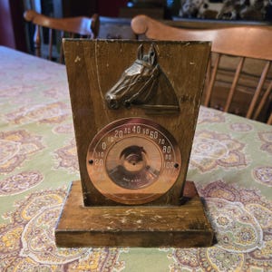 Horse Head Thermometer
