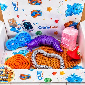 May include: A white cardboard box labeled CraftyLabz containing various plastic fidget toys including a blue gear mechanism, a purple articulated slug, a silver chain, a red spinning top, orange square rings, and pink stacked cubes.