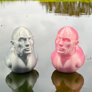 Dwayne &#39;The Rock&#39; Duck: Funny Figure