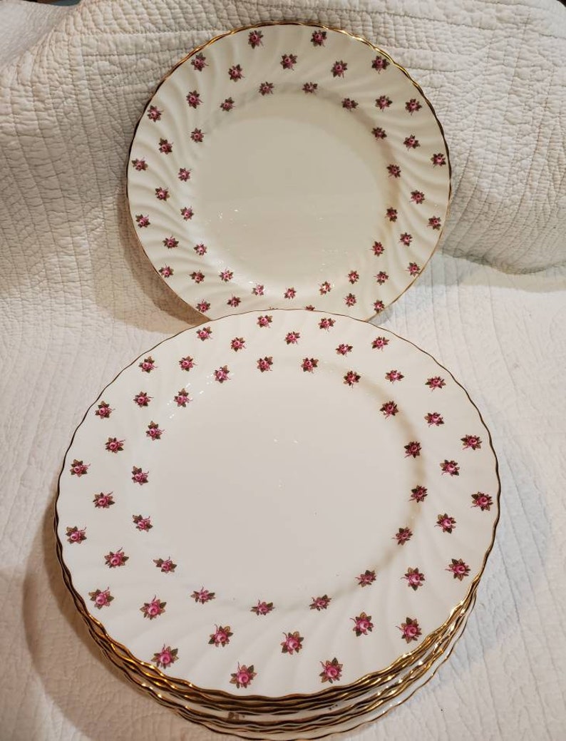 13 shops AYNSLEY bone china dinner plates.