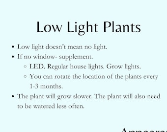 Low, Medium und Birhgt Light Plants Infografik