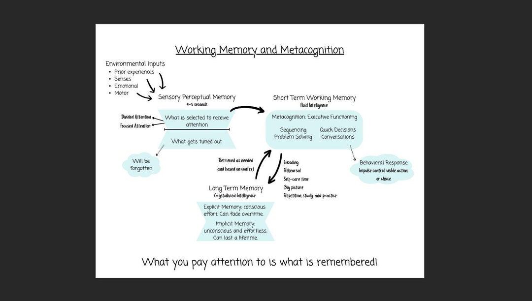 Memory Fflowchart Flowchart on Working Memory and Metacognition - Etsy