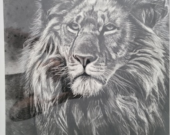 Disegno a carboncino di Leone, Bianco e Nero, Fotorealismo, portait animale
