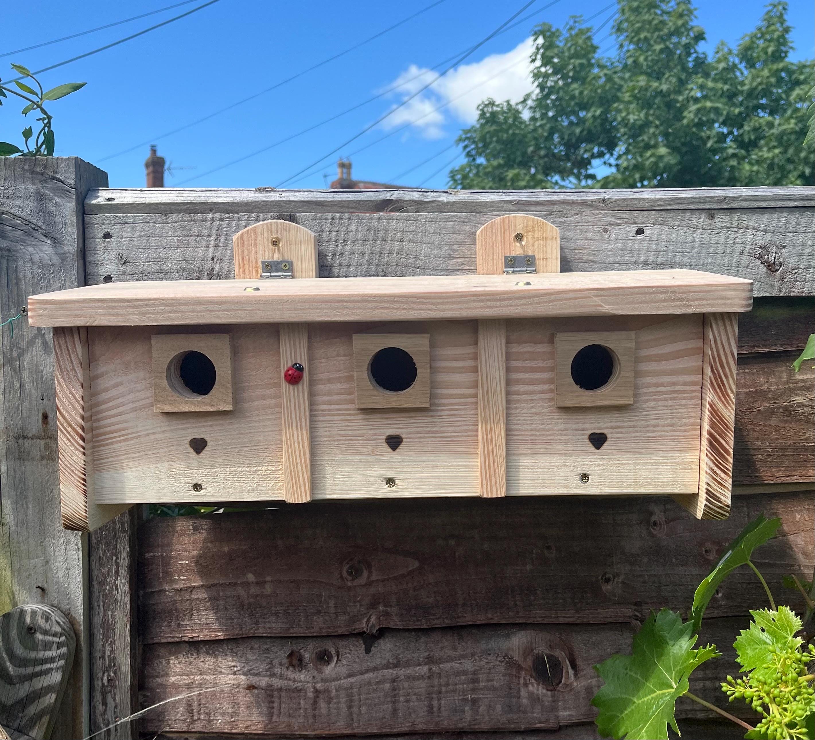 Premium Hedge Sparrow House Bird House Nesting Box Triple