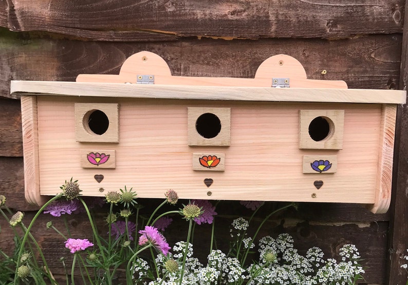 Hedge Sparrow House Bird House Nesting Box Triple Bird Box image 2