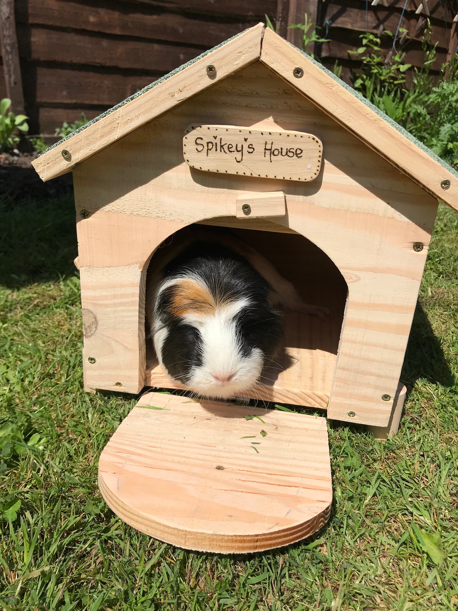 Outside Pet House for Guinea Pigs and Small Pets Etsy
