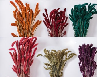 Setaria | Dried flowers | Dried flower bunch | Setaria bunch | Large bunch | Floral craft supply | Home decor | Wedding decor