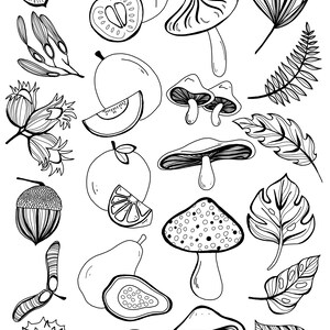 Coloración inspirada en la naturaleza/ arte/ ilustración digital para niños y adultos, Descargar.