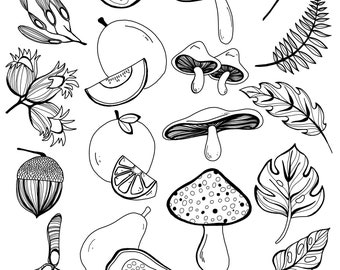 Nature inspired colouring/ art/ digital illustration for children and adults, Download.