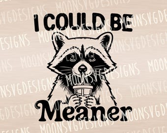 I Could Be Meaner SVG, Funny Raccoon Png, Sarcastic , iron on file.