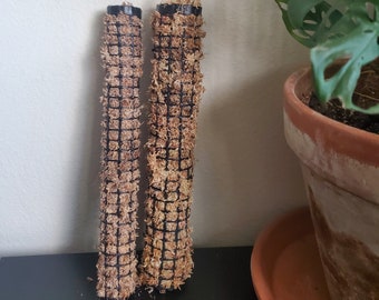 May include: Two brown moss poles with black mesh netting, standing upright on a black surface.
