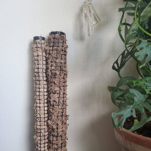 Moosstange (18 Zoll)