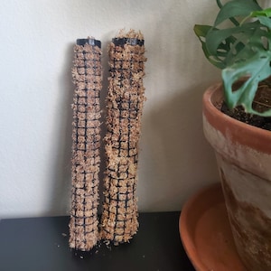 Moss pole (12 inches)