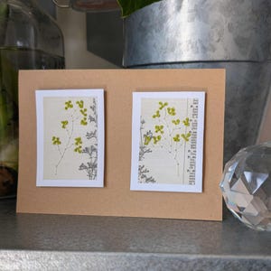 cartes de fleurs brodées