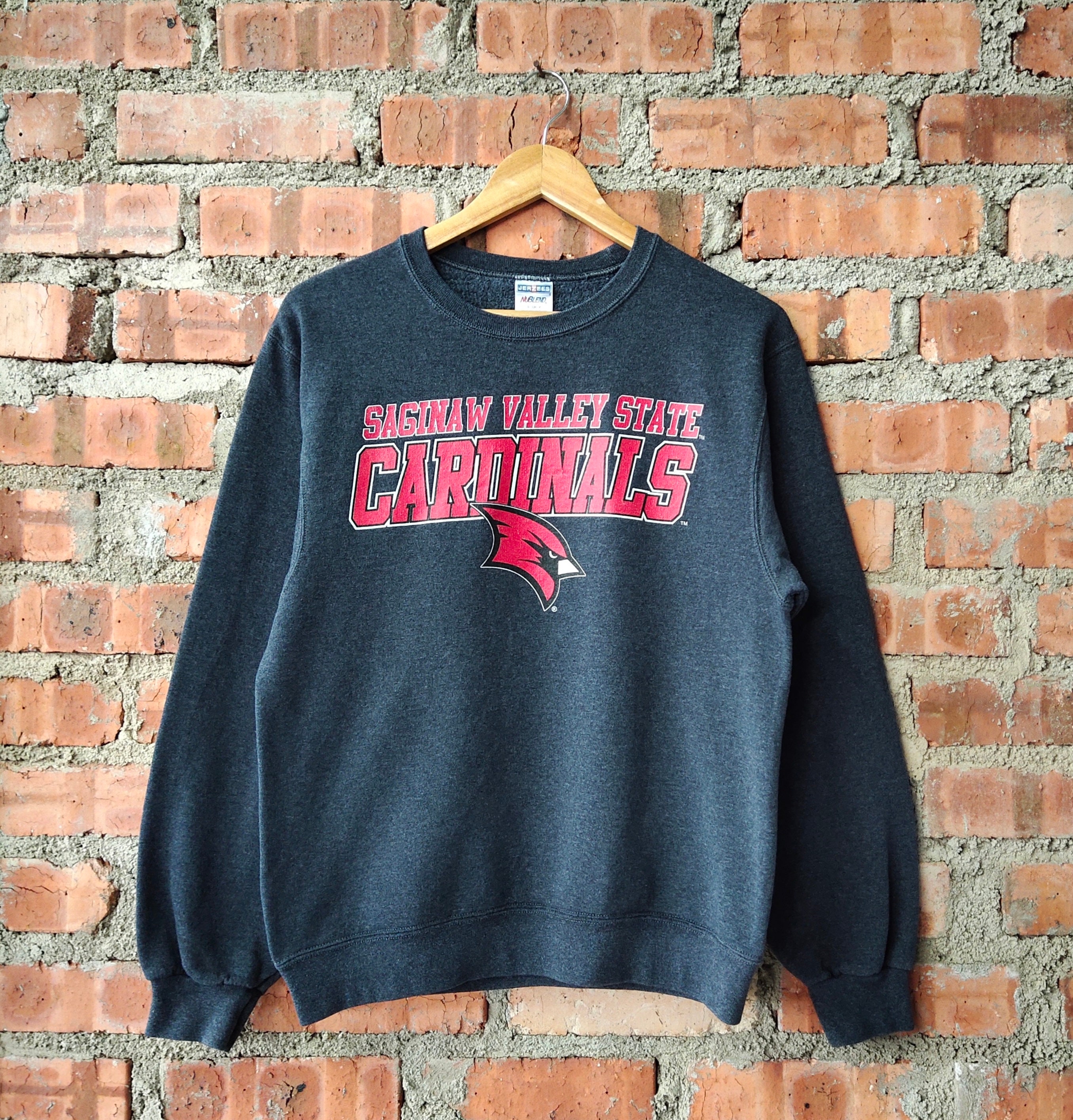Saginaw valley state university best sale sweatshirt