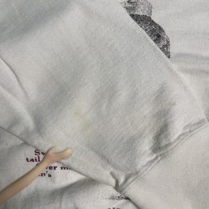May include: White sweatshirt with a faded graphic print of a bird. The text "Sweet tail" is visible on the bottom left corner of the sweatshirt.