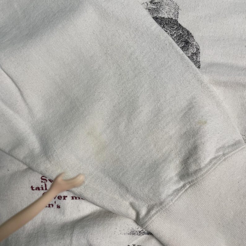 May include: White sweatshirt with a faded graphic print of a bird. The text "Sweet tail" is visible on the bottom left corner of the sweatshirt.