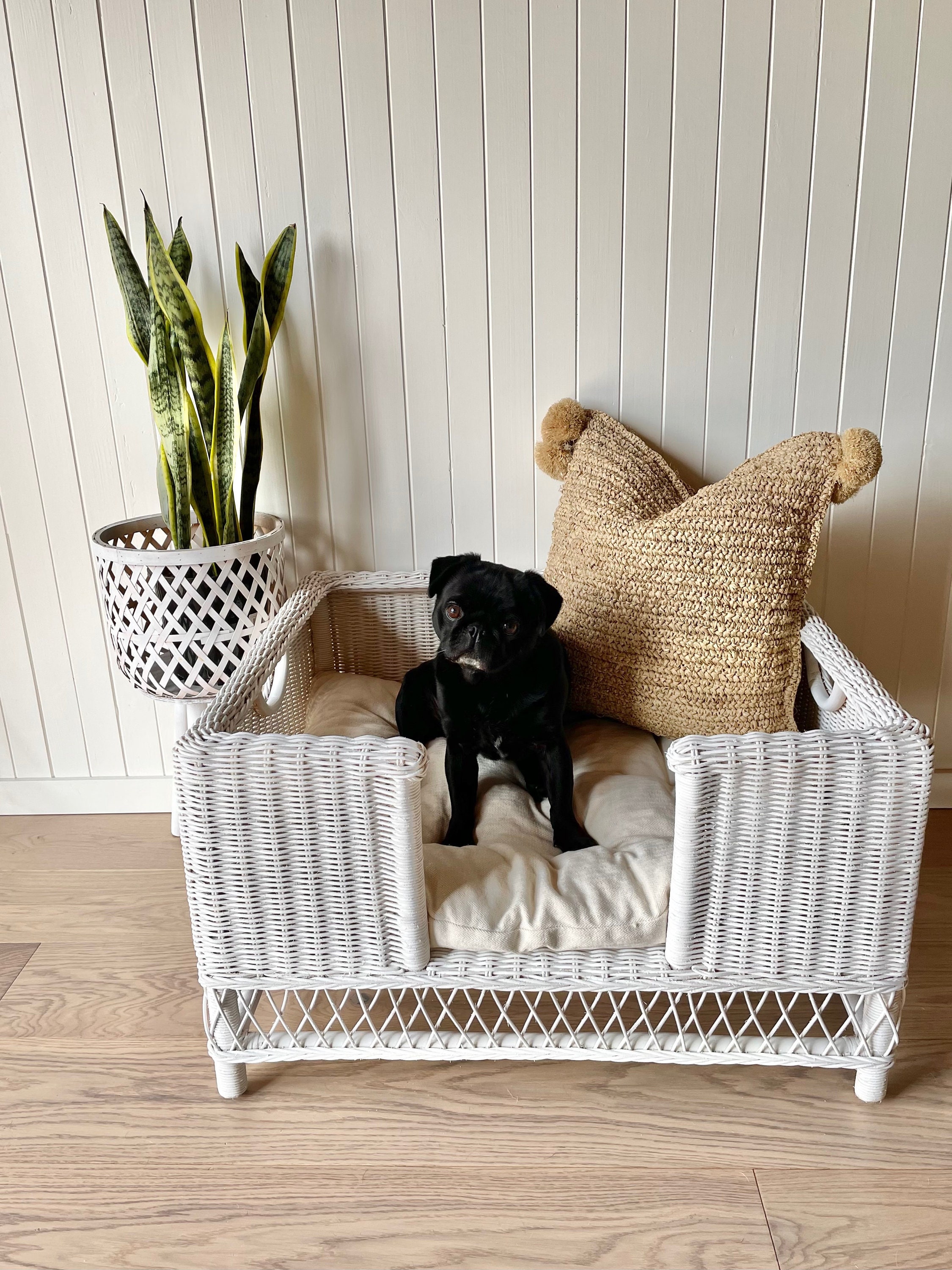 Nachos Woven Pet Bed Etsy