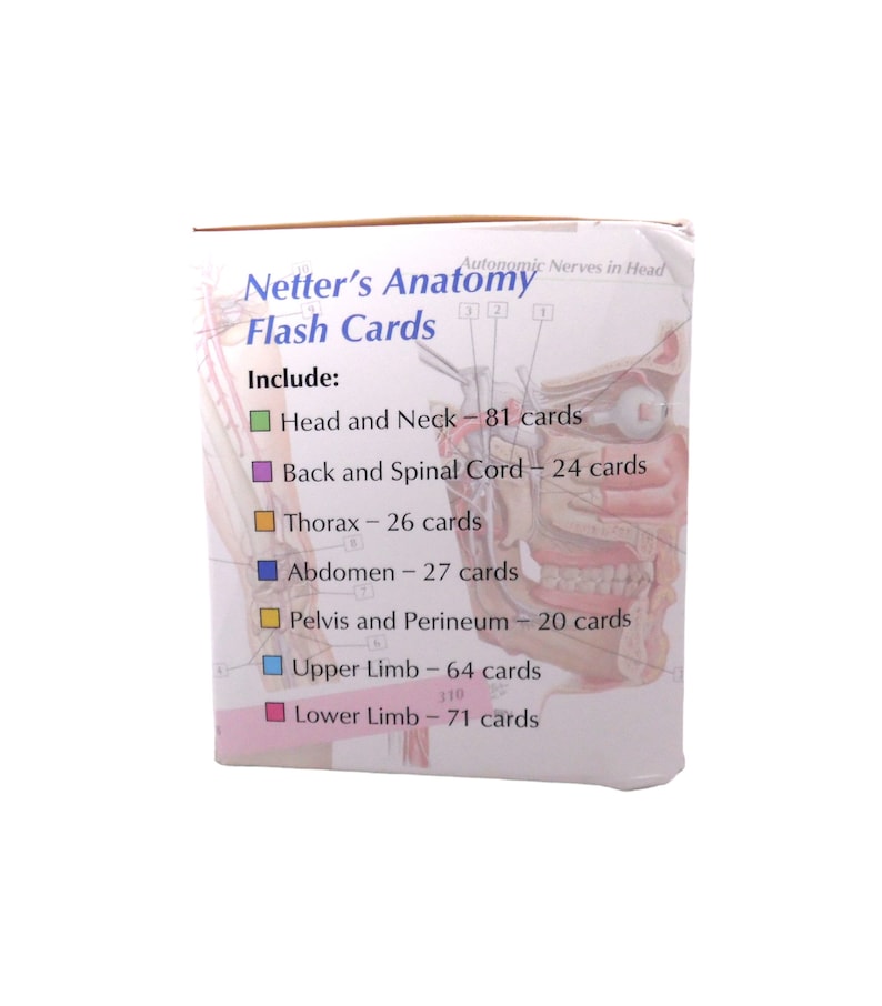 2002 Netter's Anatomy Flash Cards Study Review 313 Cards Etsy