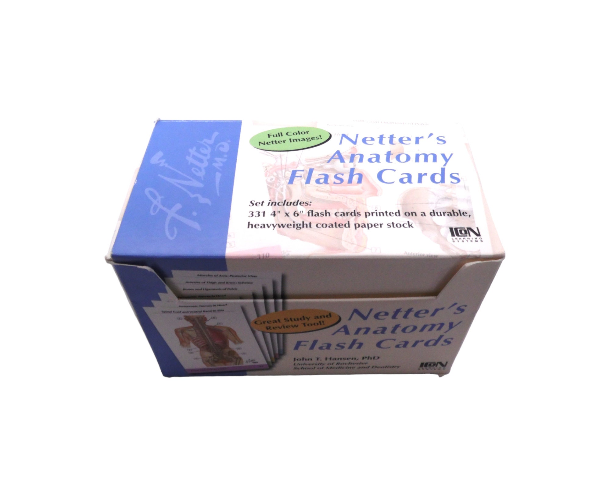 2002 Netter's Anatomy Flash Cards Study Review 313 Cards Etsy